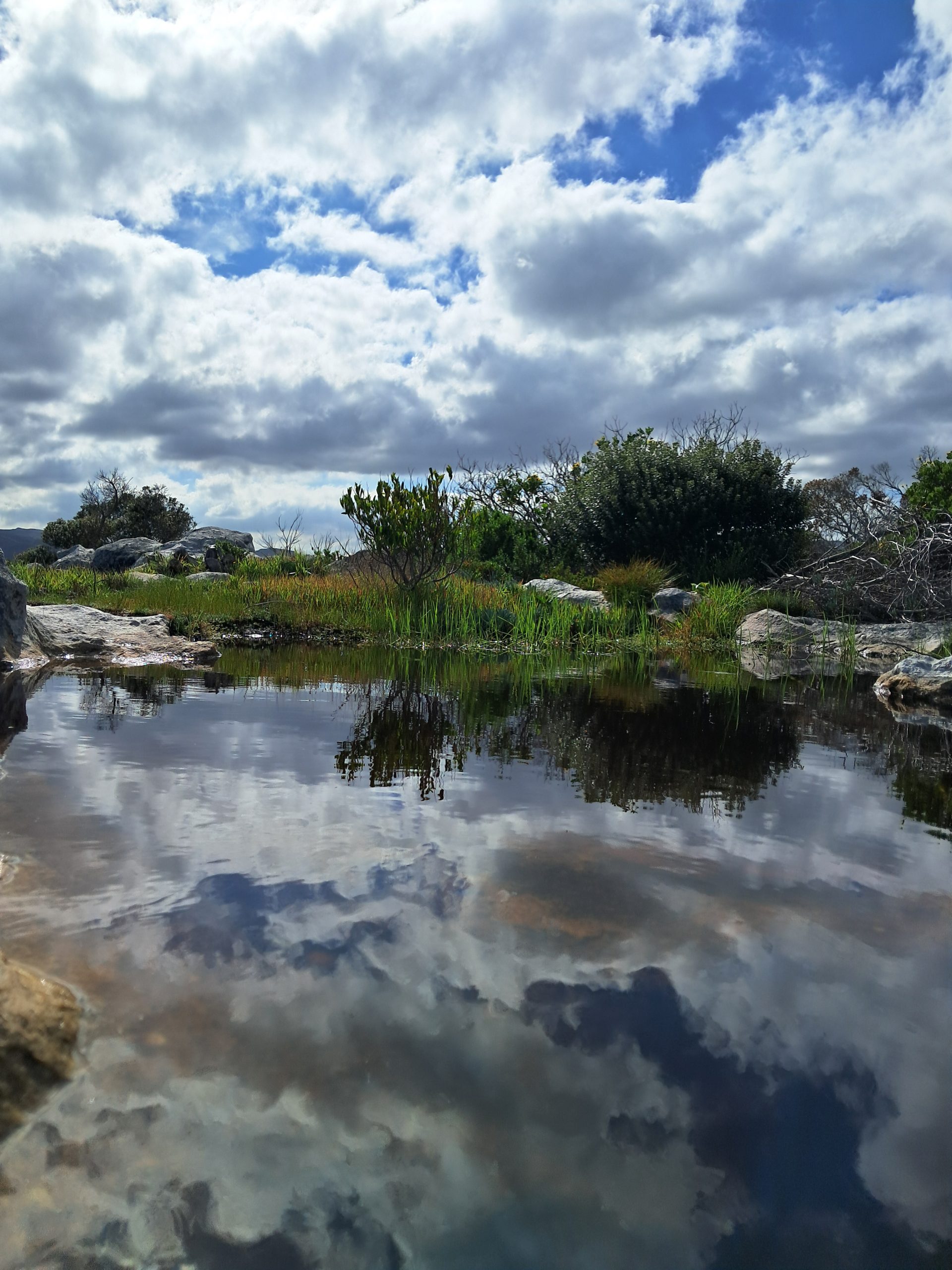 The Mirror